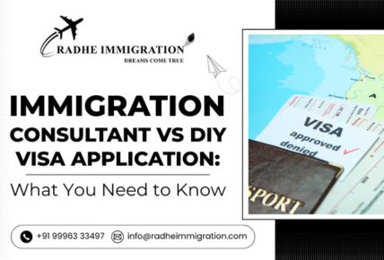 Immigration Consultant vs DIY Visa Application: What You Need to Know blog featured image